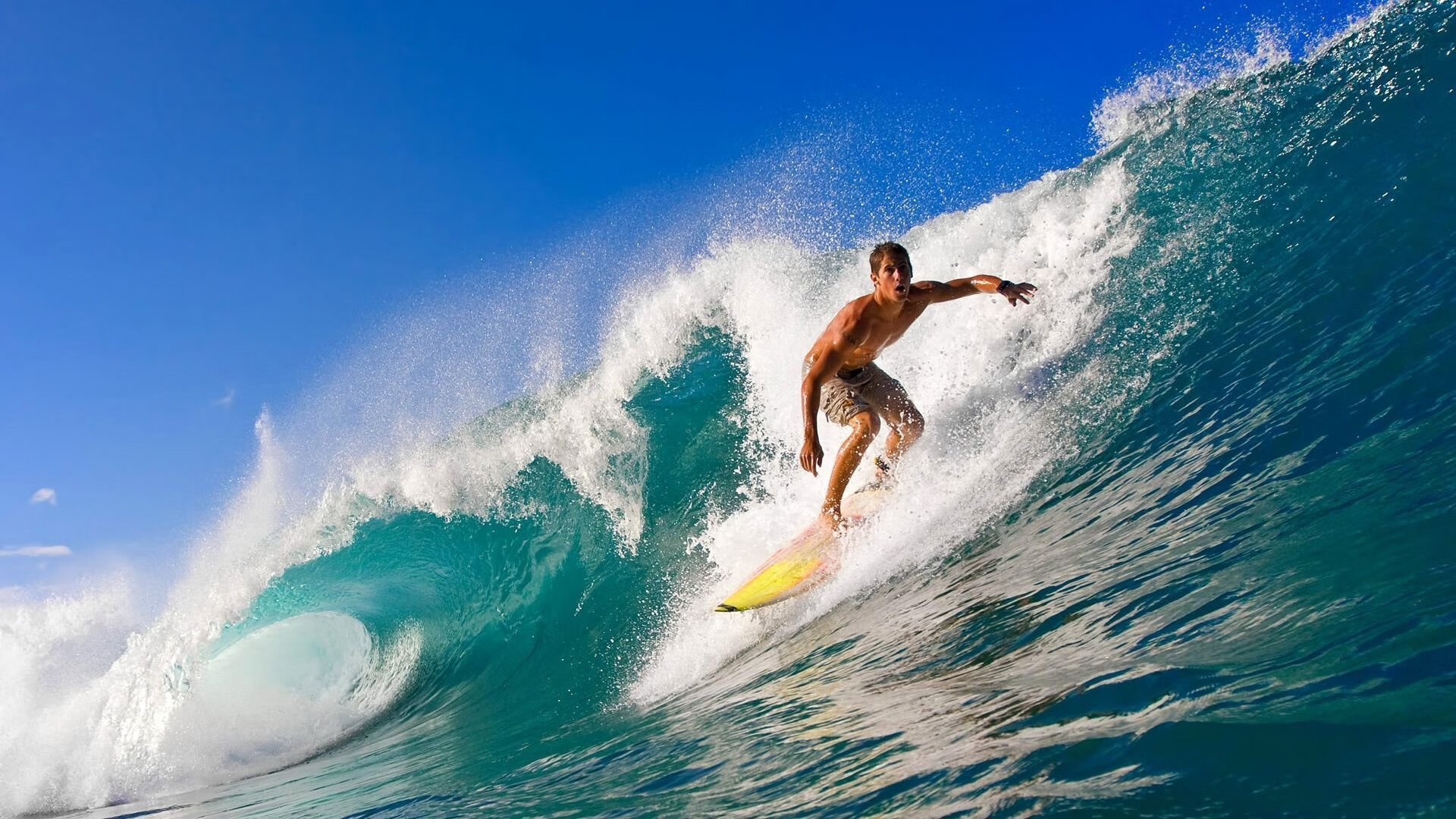 2026世界杯之夜，迪马利亚的致命弧线，让悬念在风中提前散场